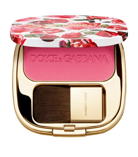 blush dolce gabbana|dolce and gabbana blush.